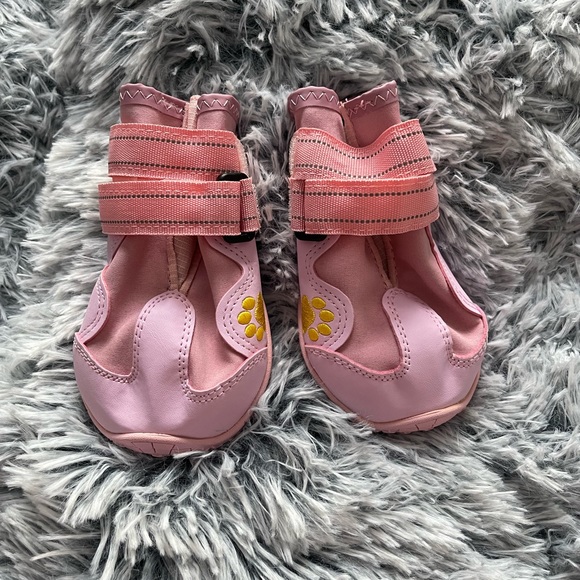 Beautiful puppy shoes